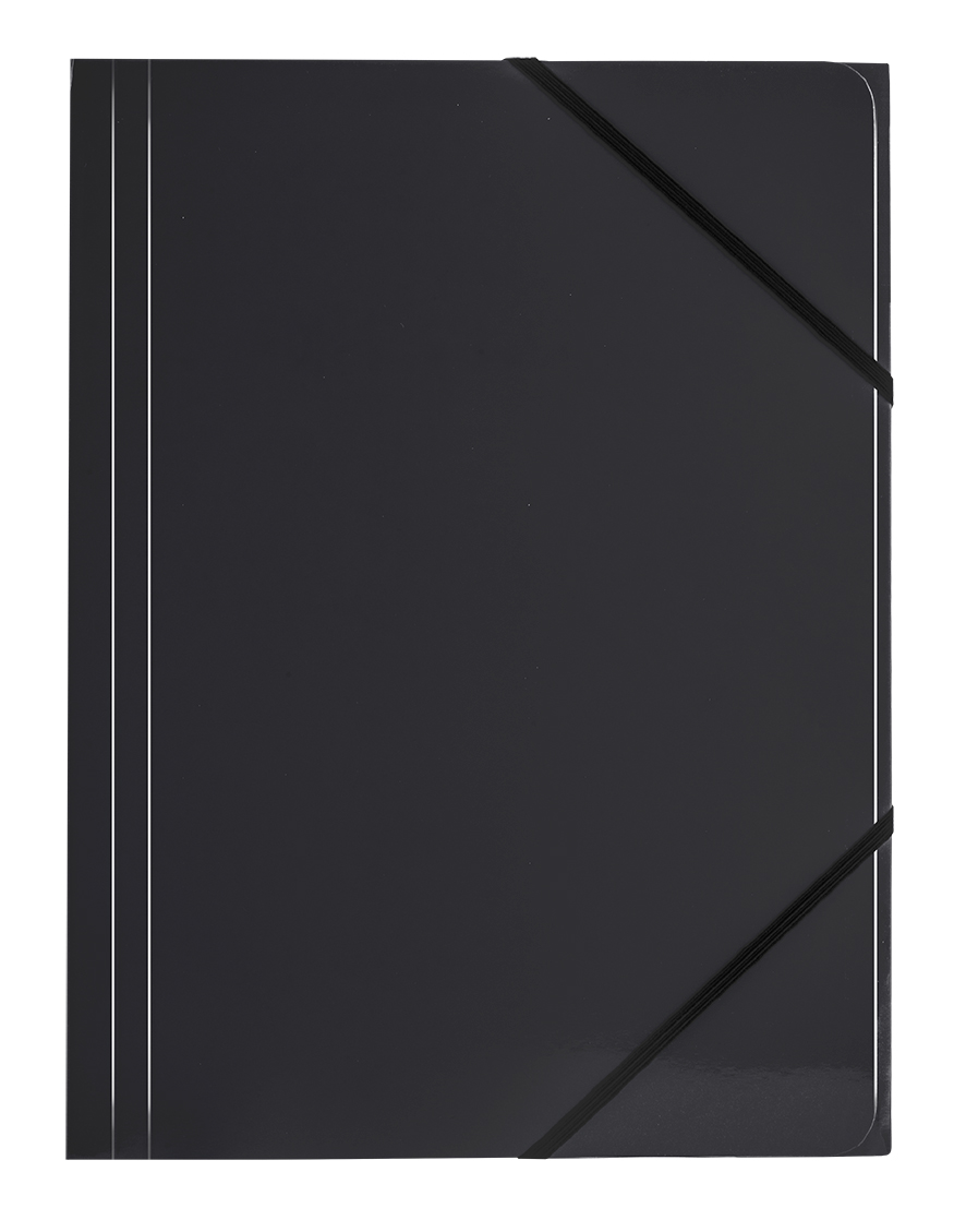 Teczka kartonowa z gumką narożną BT600-V