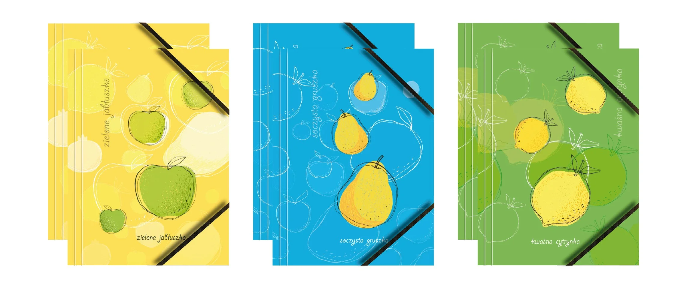 Teczka kartonowa z grafiką i gumką BT601