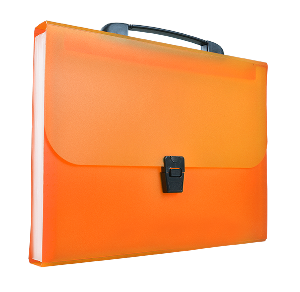 Teczka harmonijkowa A4 z rączką BT623-P