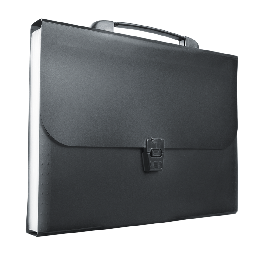 Teczka harmonijkowa A4 z rączką BT623-V