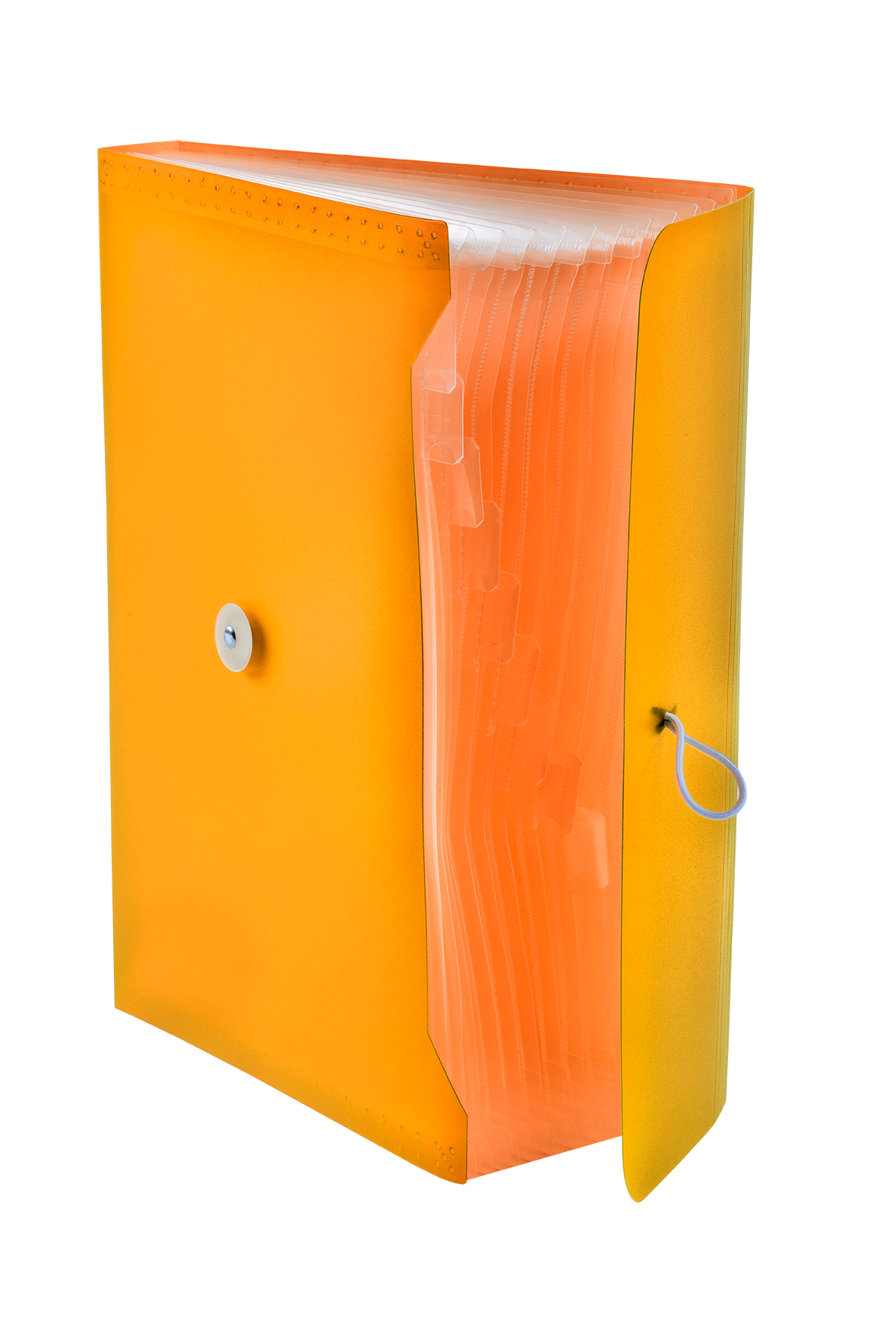 Teczka harmonijkowa A4 z gumką BT622-P