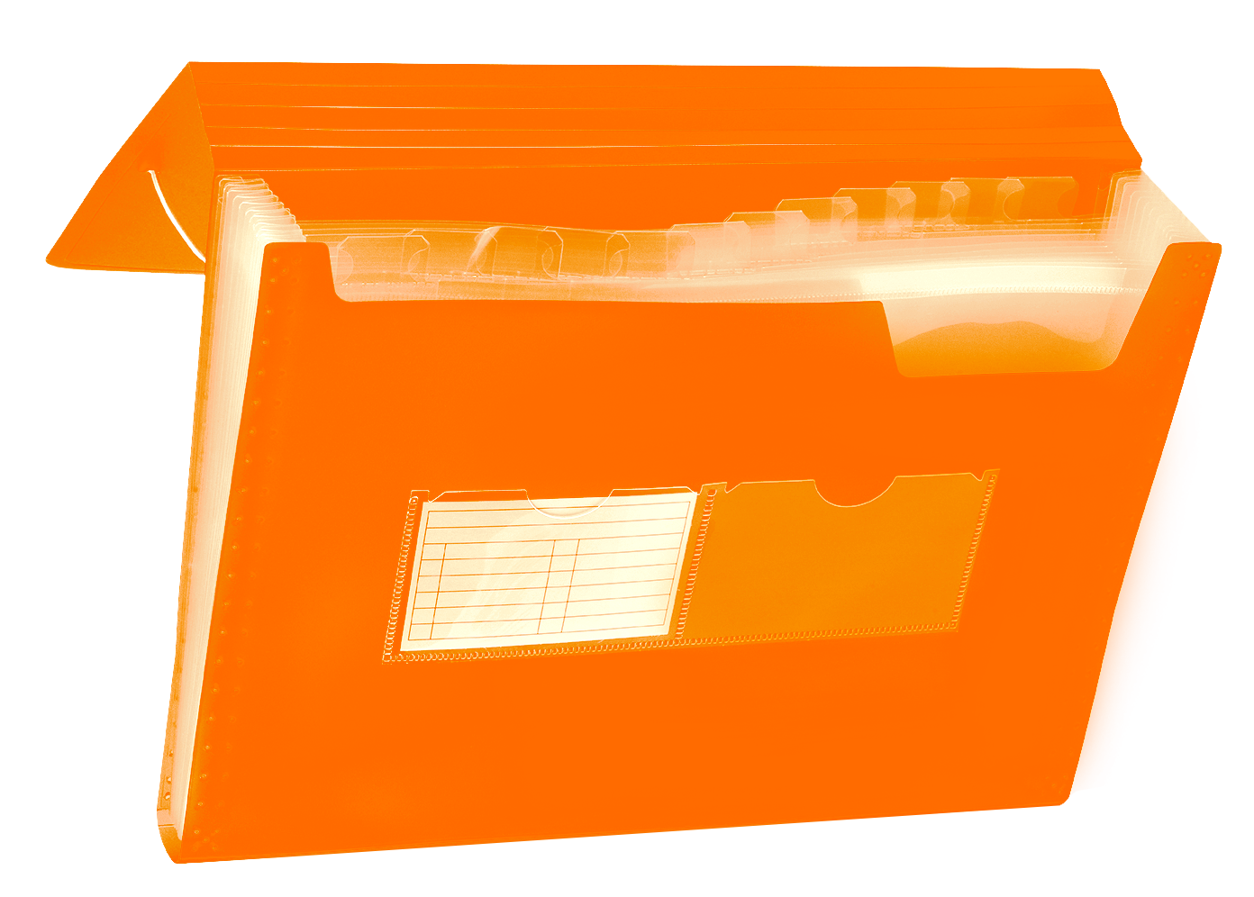 Teczka harmonijkowa A4 z gumką narożną BT621-P